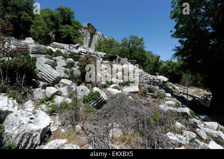 Blick auf das Propylon und Tempel der Artemis und Hadrian mit seinem ständigen Portal. Termessos, Türkei. Stockfoto