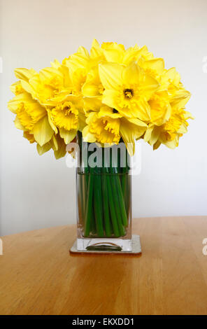 Eine Vase mit Narzissen in voller Blüte auf einem Küchentisch. Stockfoto