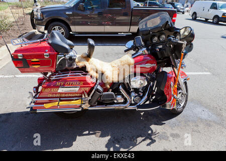 Fire Engine themed Custom Harley Davidson Motorrad - USA Stockfoto