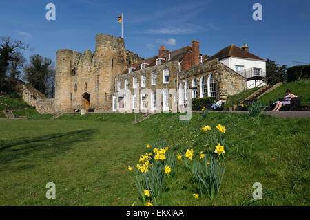 Tonbridge Castle mit Narzissen, Tonbridge, Kent, England, Vereinigtes Königreich, Europa Stockfoto