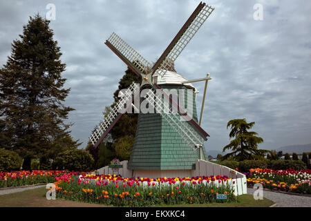 WASHINGTON - die Unterschrift Windmühle und Tulpen in einem Demo-Garten am RoozenGaarde Birne Farm im Skagit Valley. Stockfoto