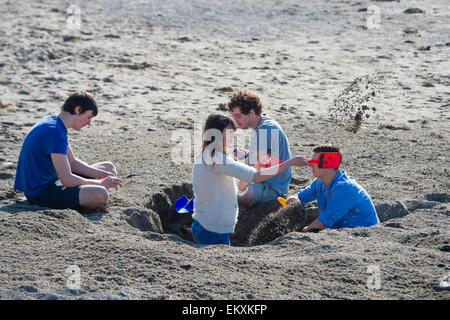 Aberystwyth, Wales, UK. 14. April 2015.   Am heißesten Tag des Jahres so weit mit Temperaturen über 20 º c in Teilen des Vereinigten Königreichs, vier junge Leute genießen die warme Frühlingssonne graben ein riesiges Loch in den Strand von Aberystwyth auf West Wales Küste Photo Credit: Keith Morris / Alamy Live News Stockfoto
