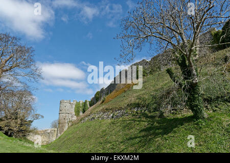 Zinnen, carisbrook Castle, Newport, Isle of Wight, England, UK, GB. Stockfoto