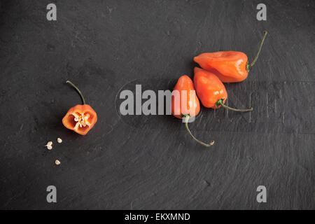 Scotch Bonnet Chilis auf einer Tafel Stockfoto