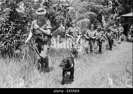 Britische Truppen in Borneo. 1964. Stockfoto