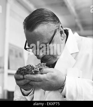 Allgemeine Ansichten von Tetley Bierbrauerei, Leeds, South Yorkshire. James Sabrooke Hopfen zu überprüfen. 13. Dezember 1967 Stockfoto