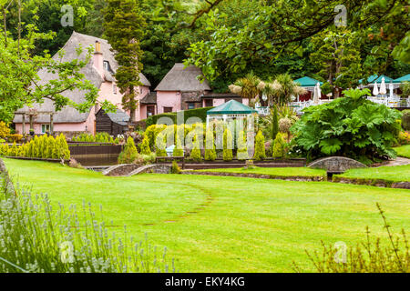 Rose Cottage, Cockington Village, Torquay, Devon, England, Vereinigtes Königreich, Europa. Stockfoto