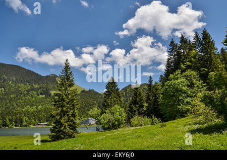 romantische Spitzingsee umringt von dunklen Bergwald ist Bayerns größte Berg-See-t Stockfoto