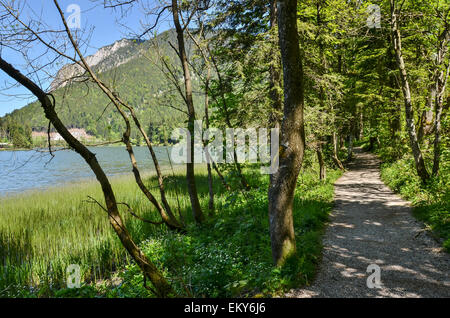 romantische Spitzingsee umringt von dunklen Bergwald ist Bayerns größte Berg-See-t Stockfoto