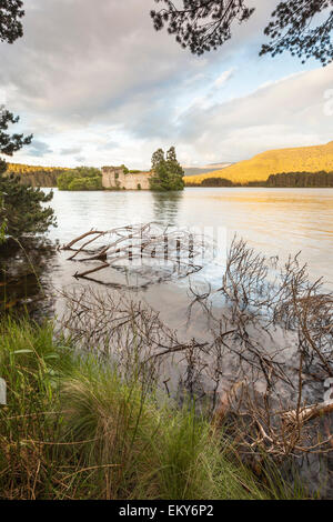 Loch ein Eilein Castle in Schottland. Stockfoto