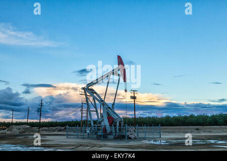 Bohrschwengels und Oberfläche Wasser am Ölquelle und Fracking-Standort in Shafter. Kern County, befindet sich über dem Monterey Schiefer gesehen hat eine Stockfoto