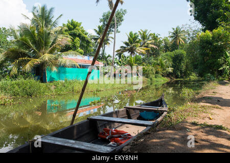 Eine Kanufahrt auf der Bank auf den Backwaters in Kerala Indien Kumarakom Stockfoto