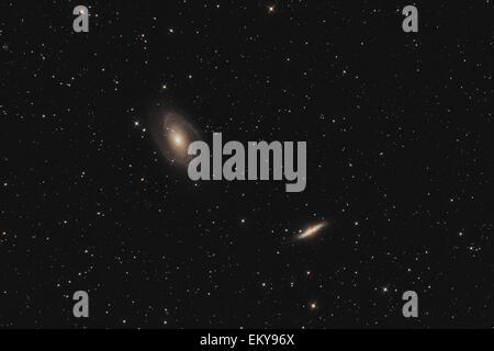 Die M81-Gruppe (Galaxie M81, M82) im Sternbild Ursa Major gegen nächtlichen Sternenhimmel Stockfoto