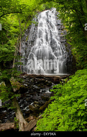 Ein Bild von Crabtree Falls befindet sich entlang der Blueridge Parkway in North Carolina Stockfoto