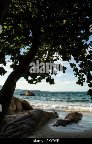 Forte-Strand. Florianopolis, Santa Catarina, Brasilien. Stockfoto