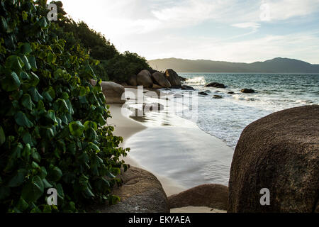 Forte-Strand. Florianopolis, Santa Catarina, Brasilien. Stockfoto