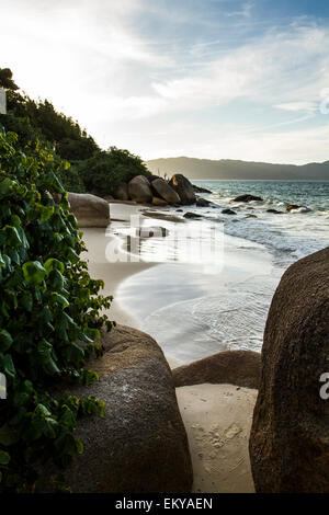 Forte-Strand. Florianopolis, Santa Catarina, Brasilien. Stockfoto