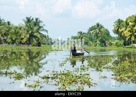 Männer in einem Kanu auf den Backwaters von Kerala, Kumarakom Kerala Indien Stockfoto