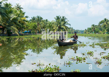 Männer in einem Kanu auf den Backwaters von Kerala, Kumarakom Kerala Indien Stockfoto