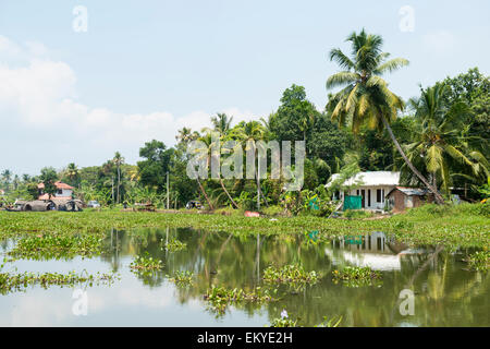 Kerala Backwaters, Kumarakom Kerala Indien Stockfoto