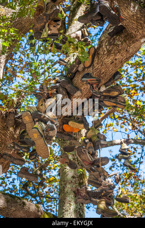 Boot Tree, das Erfolgsdenkmal des Appalachian Trail in Neels Gap, wo der Trail auf den US Highway 129 in Nord-Georgia trifft. (USA) Stockfoto