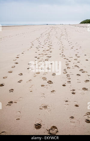 Spuren im Sand in die Ferne. Stockfoto