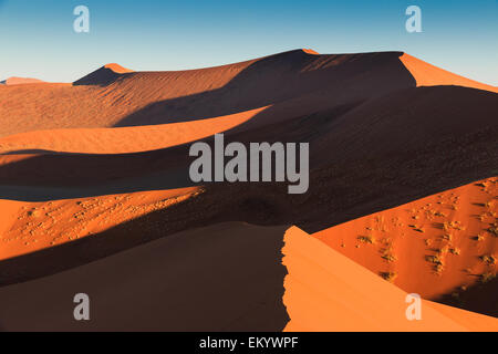 Fuß bis zum Ende des roten Düne 45. Sossusvlei, Namibia, Afrika. Stockfoto