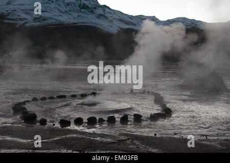 Geysirfeld bei El Tatio, Nord-Chile, der weltweit höchste Stockfoto