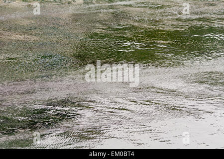 East Looe River bei Ebbe nähert, Cornwall, England Stockfoto