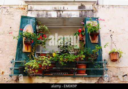 Fenster in einem alten Haus mit Blumentöpfen und Blumen geschmückt Stockfoto