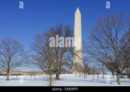 Das Washington Monument in der National Mall in Washington DC, USA. Stockfoto