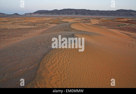 Sahara Wüste Türen Bereich Szene, Zagora, Marokko Stockfoto