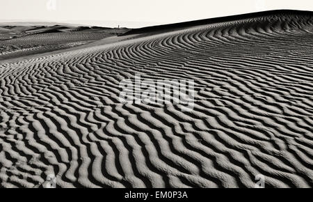 Sahara Wüste Türen Bereich Szene, Zagora, Marokko Stockfoto