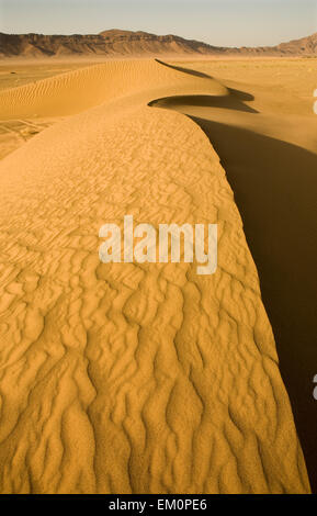 Sahara Wüste Türen Bereich Szene, Zagora, Marokko Stockfoto