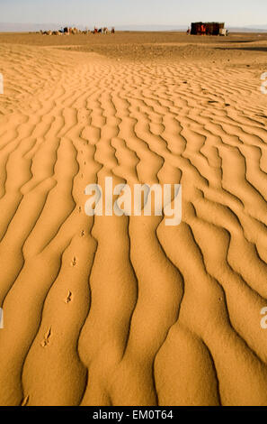 Sahara Wüste Türen Bereich Szene, Zagora, Marokko Stockfoto