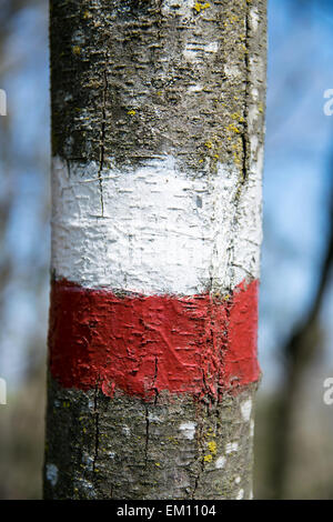 Markierungen, die die Kontinuität in beide Richtungen, der eine Route anzeigen markiert. Die angenommenen CAI (Italienischer Alpenverein) für Trail Markierung rot sind Farben und weiß Stockfoto