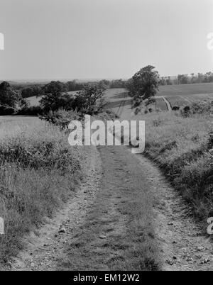 Kreide Downland Trackway auf Stane Street römischen Straßenverlauf nach WSW Eartham Wood, West Sussex: Roman Chichester London Road AD70 gebaut. Stockfoto