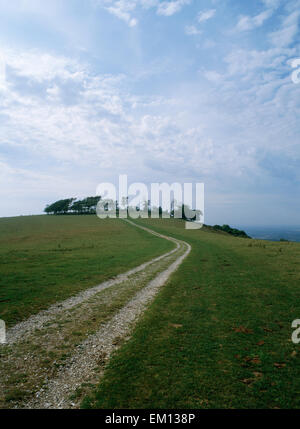 Aussehende NW entlang der South Downs Way, Chanctonbury Hillfort, West Sussex, gekennzeichnet durch die Überreste eines berühmten Buche Büschel gepflanzt im Jahre 1760. Stockfoto