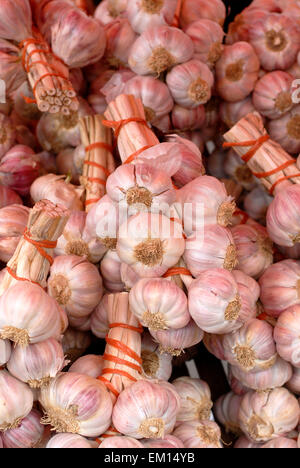 Knoblauch im Marché Saint-Aubin Markt Lebensmittel Sekundenzeiger Toulouse France Midi-Pyrénées Stockfoto