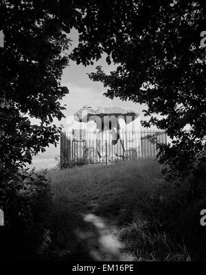 Kit Coty House, Medway Valley, Kent: bleibt eine neolithische Grabkammer stehen SE Ende ein entblösstes irdenen langen Hügel. Stockfoto