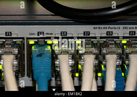 Ethernet-Netzwerk-Switch mit Ethernet-Kabeln Stockfoto