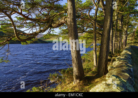 Glencorse Reservoir in den Pentland Hills Regional Park in der Nähe von Edinburgh, Schottland. Stockfoto