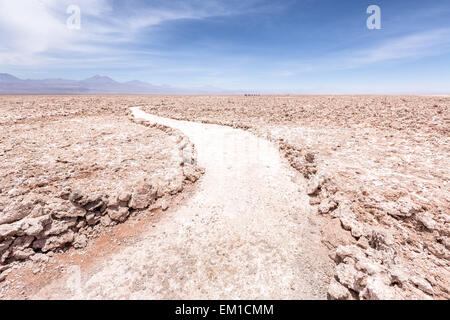 Wandern rund um am Laguna Chaxa, San Pedro de Atacama, Chile, Anden, Südamerika Stockfoto