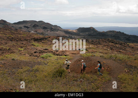 Trekking in der Sierra Negra Vulkans, Isabela Island, Galapagos, Ecuador, Südamerika Stockfoto