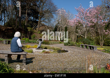 Ein Dame Besucher entspannt in den Slave-Garten mit einer Sonnenuhr und Magnolien bei Pinetum Park St Austell Cornwall an einem Frühlingstag. Stockfoto