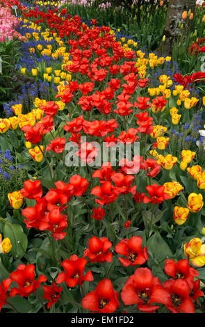 WASHINGTON - Tulpen und Hyazinthen in einem Demo-Garten am RoozenGaarde Birne Farm im Skagit Valley in der Nähe von Mount Vernon. Stockfoto