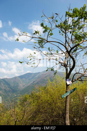 Blick auf die Berge auf der Fahrt von Kumarakom nach Thekkady in Kerala, Indien Stockfoto