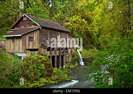 WA10291-00... WASHINGTON - historische Cedar Creek Grist Mill im Wald am Cedar Creek. Stockfoto