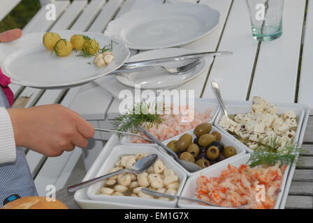 Garten-Party-Buffet. Stockfoto