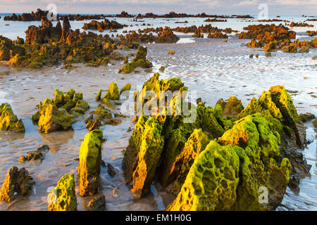 Felsiger Strand. Eine Strand. Noja, Kantabrien. Spanien, Europa. Stockfoto